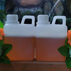 MADU MURNI HUTAN SIALANG SUMATERA 1/2 KG