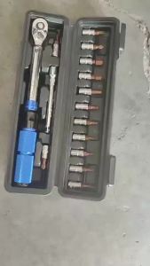 16PCS Bike Torque Wrench Set 1-25Nm Pre-set Precision Ratchet Tool for Road Bicycle Small Flywheel Repair with Case