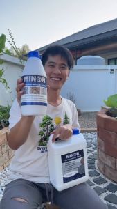 น้ำยาประสานกรวด MINOR ใช้สำหรับประสานหินหรือกรวดที่มีขนาดใหญ่กว่าทราย งานจัดสวนแต่งสวนDIY