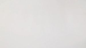 JH COD Sticky Mouse Rat Glue Board Mice Trap: Easy & Non-Toxic