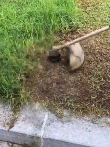 Lưỡi Cưa Kim Loại Thay Thế Cho Máy Cắt Cỏ  (6 PCS)