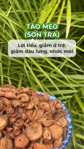 Táo mèo sapa sấy khô túi lớn loại 500g - Thảo Dược Tấn Phát - Hỗ trợ cải thiện sức khoẻ