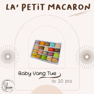 BABY VANG TUE / BABY MACARON ISI 20PCS