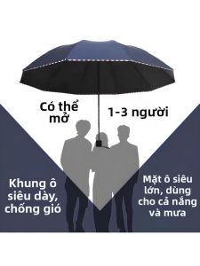 MOLORE | Large UV Protection Sun and Rain Umbrella 10 Ribs Foldable