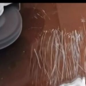 Mata Gerinda Poles Non Woven 4 Inch & Mata Polishing Wheel 4\" Stainless Steel