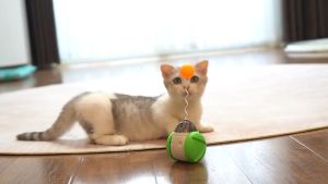 Premium Pet Tumbler Swing Toys For Cats Kitten Built In Bird Sounder Interactive Squeaky Balance Car Cat Chasing Toy With Catnip Funny Electric Pet Ball Products Pet Toy Gifts