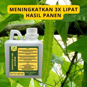 Pupuk Pelebat Kecipir / Pupuk Sayur Kecipir / Pupuk Booster Kecipir / Pupuk Kecipir