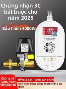 Boleesch | Gas Leak Detection Alarm for Indoors and Outdoors