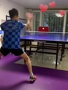 Portable Ping Pong Exercise Table: A Comprehensive Guide