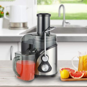 Business Electric Juicer Fruits Extractor Fruit Juice Maker