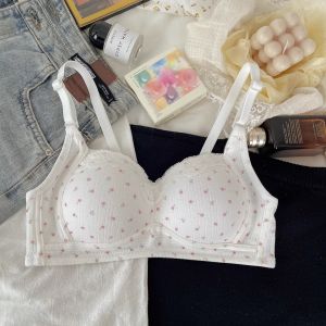 Sweet Floral Girls Bra Gather Small Chest Big Chest Conceal Side Breast Prevent Exposure Student High School Girls Underwear