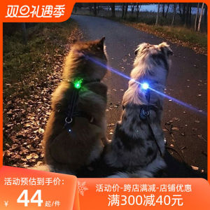 อุปกรณ์เลี้ยงสัตว์ LED Nightlight Dog Walking Light Pet Supplies Collar Glowing Pendant Lost Dog Warning Bell
