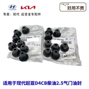 Modern H-1H100/Starex Truck Engine Valve Oil Seal Kia Sorrento K2500 Diesel Engine Parts Automobile Maintenance Supplies