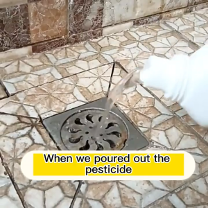 Kills Insects and Eggs Eliminates at the Source Drain flies killer 500ML drain insect killer household sewer toilet pipe pesticides can kill moth flies cockroach下水道小飞虫灭杀神器
