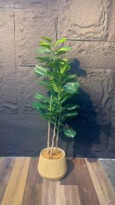 [WITH FREE GIFT] Multi Stalk Fiddle Artificial Plant Artificial Tree Free Planter Basket Free Plastic Plant Pot Indoor Plant Indoor Decoration Home Decor Fake Plant Tree Decor Tall Plant Pokok Hiasan Pokok Palsu Plant Decor Living Room Entrance Office