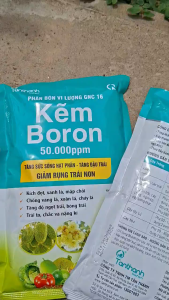 [VTNN TIEN KHOA] Kẽm Boron 50.000ppm Gói 500g – Dưỡng Hoa Tăng Tỷ Lệ Đậu Trái Giúp Cây Khỏe Mạnh