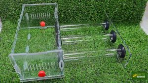 Ant Nest Starter Kit + Ant Colony Type 13 (TRIPPLE TUBE NEST)