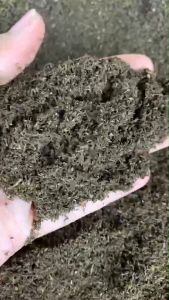 1 กิโล มูลไส้เดือนแท้ 100% Organic ไม่ผสมดิน วัสดุปลูก ปู่ยอินทรีย์ ปู่คอก 1 บรรทัด