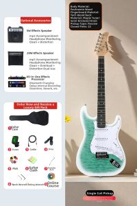 BEETHOSTAR | Electric Guitar For Rock Single Tremolo