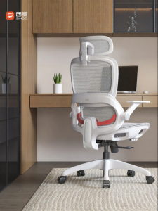 Musso | Ergonomic Computer Chair For Long Hours Sitting Office & Gaming