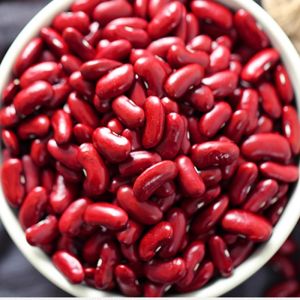 Large Red Kidney Beans 500g*3 Pack Harvest Self-Produced Premium Quality Flat Red Beans from Luoyang City Shanxi Province