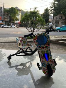 XE ĐIỆN BA BÁNH DRIFT 360