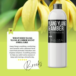 My Home Fragrances Ylang Ylang & Amber Water based Concentrated Water Soluble  Humidifier