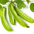 50 seeds binhi pantanim winged beans sigarilyas gulay. 