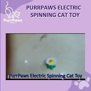 PurrPaws Electric Spinning Cat Toy