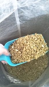 เม็ดฟักทอง อบ ขนาด 1 กิโลกรัม แถมเกลือชมพู