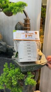 Hộp chia thuốc 7 ngày 3 ngăn TS 275 hộp đựng thuốc - phiên bản màu mới hộp chia thuốc hộp chia ngăn hộp thuốc chia ngăn hộp đựng thuốc chia ngăn hộp đựng hộp