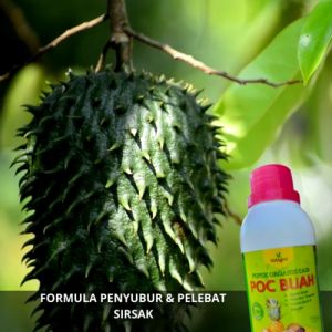 Pupuk Cepat Buah Sirsak / Pupuk Booster Sirsak / Pupuk Buah Sirsak Organik Cair Penyubur Pelebat