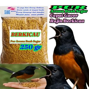 Berkicau. Voer Burung Murai Batu Jalak Cucak Ijo. Makanan Burung Murai Batu.
