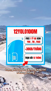 ( FLASH SALE ) Sim 4G Vinaphone Trọn Gói 1 Năm Không Nạp Tiền 12YOLO100M Tặng 1GB/Ngày Tốc ĐỘ Cao Miễn Phí MXH Không Giới Hạn | FREESHIP - CHƯA KÍCH HOẠT