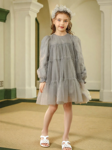 Spring Long Sleeve Princess Dress
