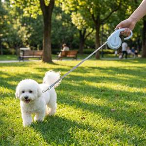 Teeker vật nuôi có thể thu vào Dây dắt chó cho chó nhỏ lên đến chống rối dây xích dắt thú cưng với một tay phanh tạm dừng khóa