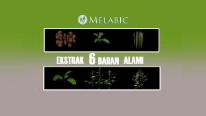 Obat Herbal untuk Diabet Melabic