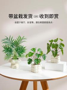 Nordic Style Artificial Green Plant Decoration Small Potted Office Indoor Living Room Desktop Bonsai Imitation Flower Ornament