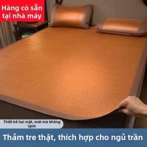 Dual-Use Cool Summer And Winter Foldable Ice Silk Mat