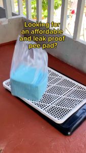 Understanding Pet Training Pads: Pee Poop Pads, Cat Litter Pad, Dog Pee Pad & Disposable Potty Pads