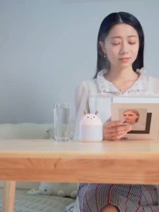 เครื่องพ่นไอน้ำอากาศ 250 ml รุ่น Bear Humidifier สุขสันตัว พกพกง่าย ความชื้นในอากาศ 7 สี LED