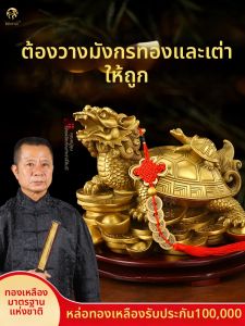 BINYUE | Feng Shui Decorative Turtle Figurine Brass