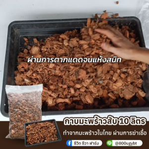 กาบมะพร้าวสับ มะพร้าวสับ ขนาด 10 ลิตร สะอาด ปลอดเชื้อ ไร้แมลง