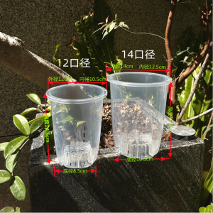 Breathable Hollow out See through Root-Controlling Orchid Pots Thickened Plastic Hot Planting Alocasia Wedding Candle Philodendron Special Qingshan Flower Pot