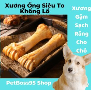 XƯƠNG ỐNG BÒ XƯƠNG GẶM SẠCH RĂNG CHO CHÓ