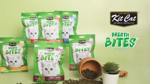 Kit Cat Breath Bites Cat Snacks 60g Cat Mint KitCat