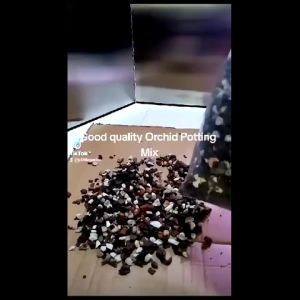 JCLSGP Orchid MIX Potting Soil Mix