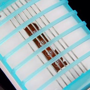 เครื่องช๊อตยุง ที่ช๊อตยุง กับดักแมลง โคมไฟLED ฆ่าได้ทั้ง แมลง ยุง แมลงวัน ตัวเรือด แมลงหรือผีเสื้อกลางคืน ฆ่าแมลง