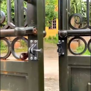 Bộ chốt cửa cổng cửa nhà tự đóng thông minh thép dày cắt CNC loại tốt cho các loại cửa to và nhỏ
