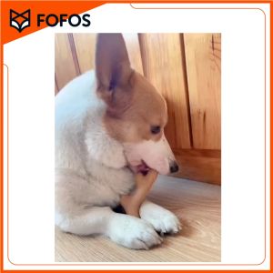 Đồ Chơi Gặm Làm Sạch Răng Cho Chó FOFOS Stix Wooden